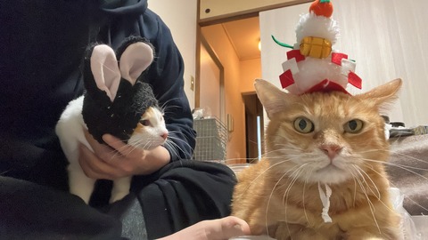 写真 2023-01-01 19 12 23