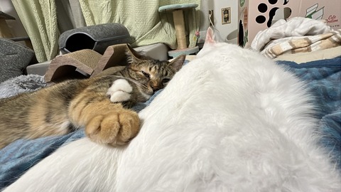 写真 2025-04-09 3 48 00