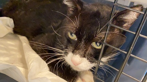 写真 2020-09-02 17 30 56