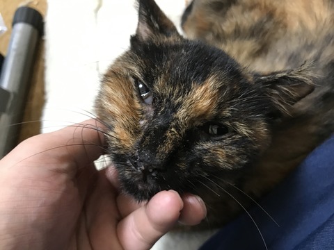 写真 2019-09-18 16 25 34