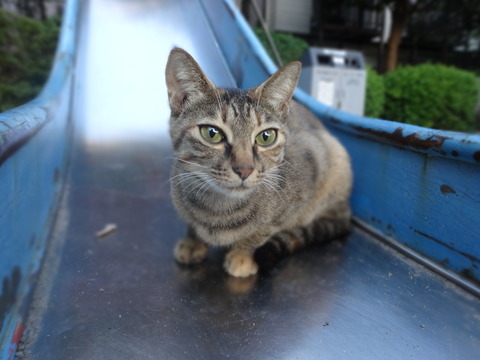 DSC00846