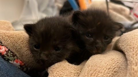 写真 2023-10-12 16 29 09