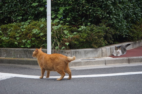 DSC06353