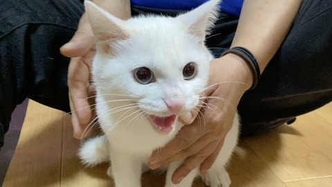 最初の訪問