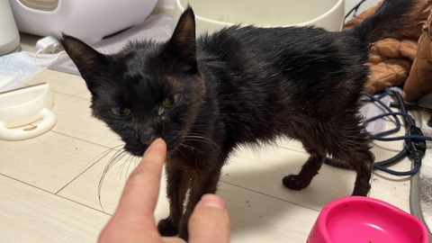 写真 2023-12-07 2 37 38