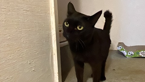 写真 2022-10-11 3 49 35