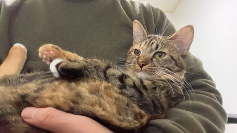 写真 2024-12-02 0 50 03