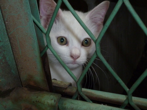 P1000027