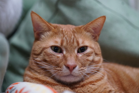 DSC07049