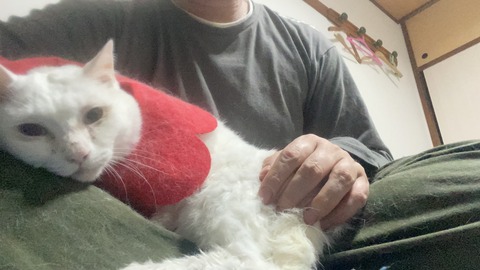 写真 2021-05-20 2 01 16