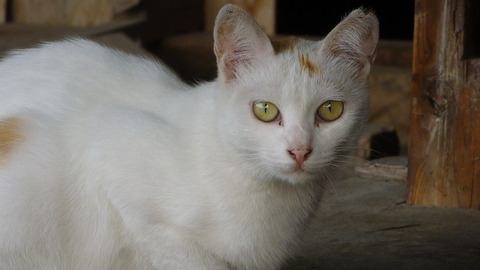 DSC00202