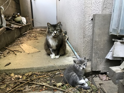 写真 2019-05-25 8 19 44