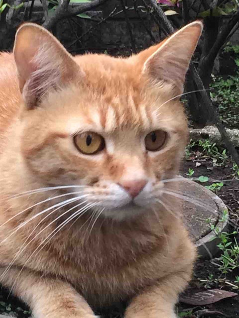 F0635B1E-BA5E-49D8-841B-F621F3F141E5