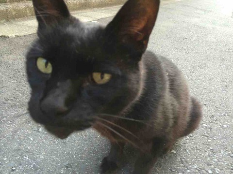 670B540D-CCC9-4ECF-8831-2CB277571E6E