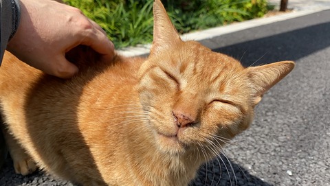 写真 2021-09-15 12 17 39