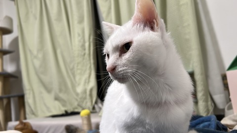 写真 2025-02-09 5 29 00