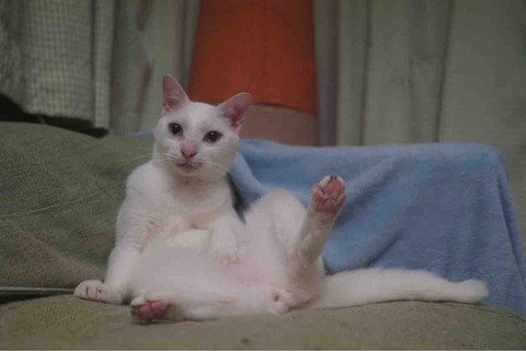 6C547CAD-47E9-43E2-BEA9-598004852D57