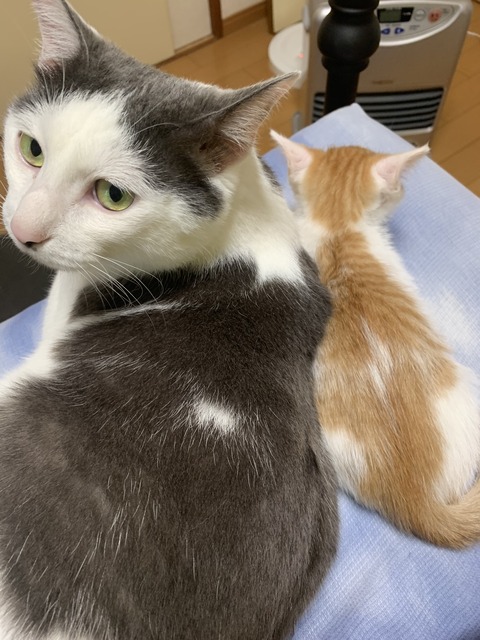 4F3D870A-A110-4C57-A335-BFBC7EEEB32B