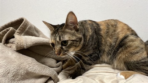 写真 2025-07-28 1 59 58