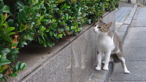 DSC00255