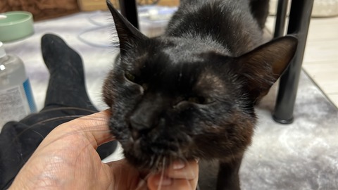 写真 2022-10-12 4 14 53