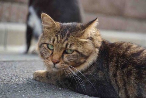 1C96176B-A1A3-4303-AE83-0A5789FA0473