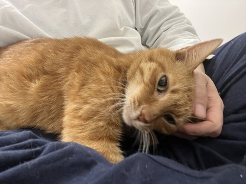 写真 2025-10-06 6 04 52