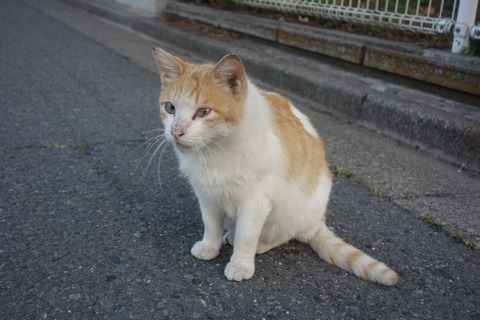 DSC01813