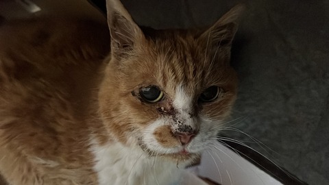 写真 2023-01-02 7 25 41