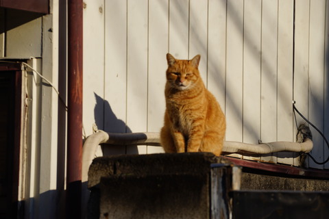 DSC06910