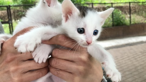 写真 2019-05-12 9 16 28