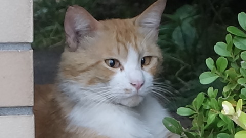 DSC01931