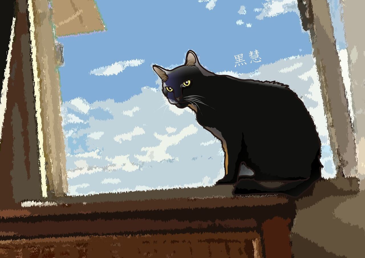 白猫と黒猫シリーズ　冬景色 白猫と黒猫シリーズ 冬景色 白猫と黒猫シリーズ 冬景色