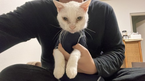 写真 2025-08-03 22 41 49