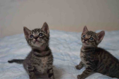 C7FBB24F-D923-4301-8EB6-6A4D3599B9F2