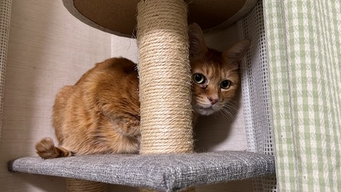 写真 2022-03-17 2 58 05