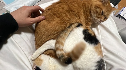 写真 2024-02-01 4 42 14