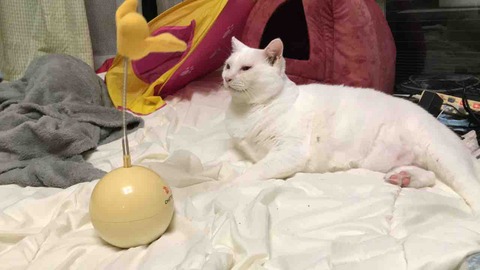 8DB8BAB6-377C-41A9-B810-0ECCF8CA4E99