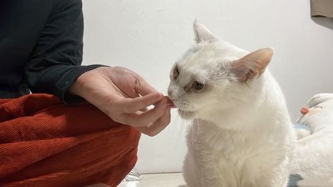 写真 2024-06-13 1 36 59