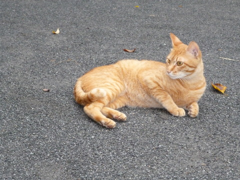 P1000265