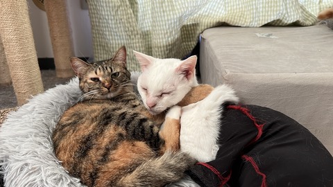 写真 2025-09-27 9 14 31