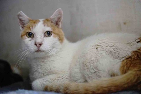 64A5BCB7-96A8-4488-AD1F-36CA9ACA07F9