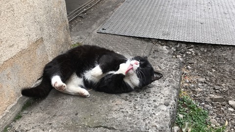 写真 2018-02-25 7 36 49