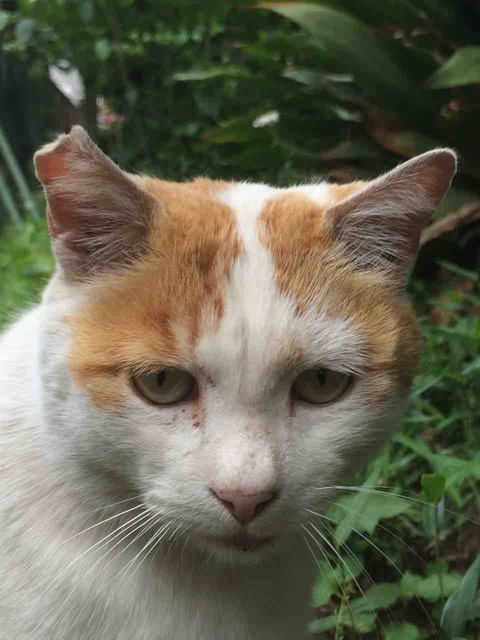 AAD3A8CD-62B2-4D7D-B8EA-EF7F1F641316