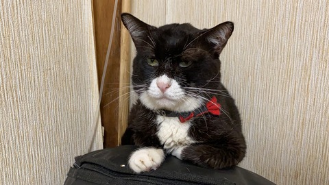 写真 2020-08-05 17 33 00