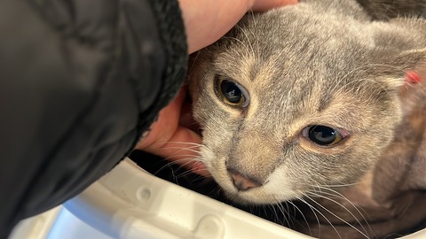 写真 2024-01-19 16 42 34