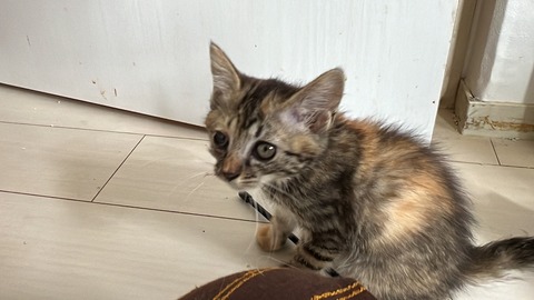 写真 2024-07-02 8 23 47