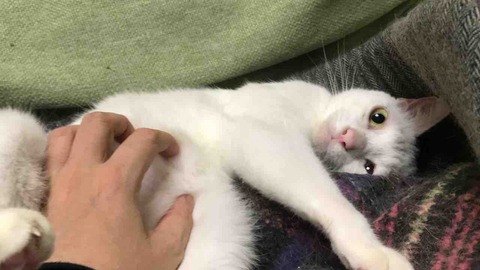 1E2C0488-9819-4645-B42E-1E3D8A6A5BC4