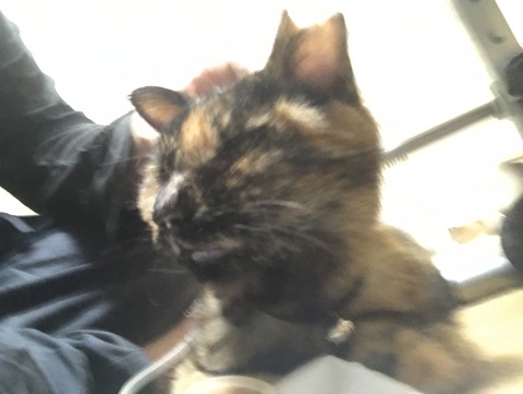 写真 2019-09-17 22 48 52