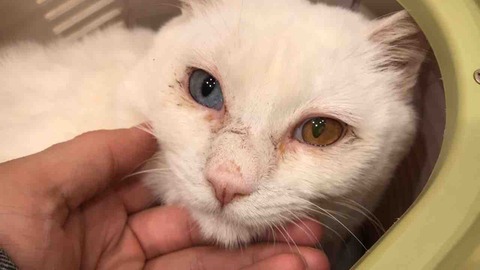 942FFEA8-9E60-42AA-88C8-49AEE703D951